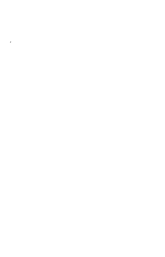 Masicher liga